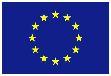 EU Flag - EU Russia Cooperation - bioliquids application in CHP plants